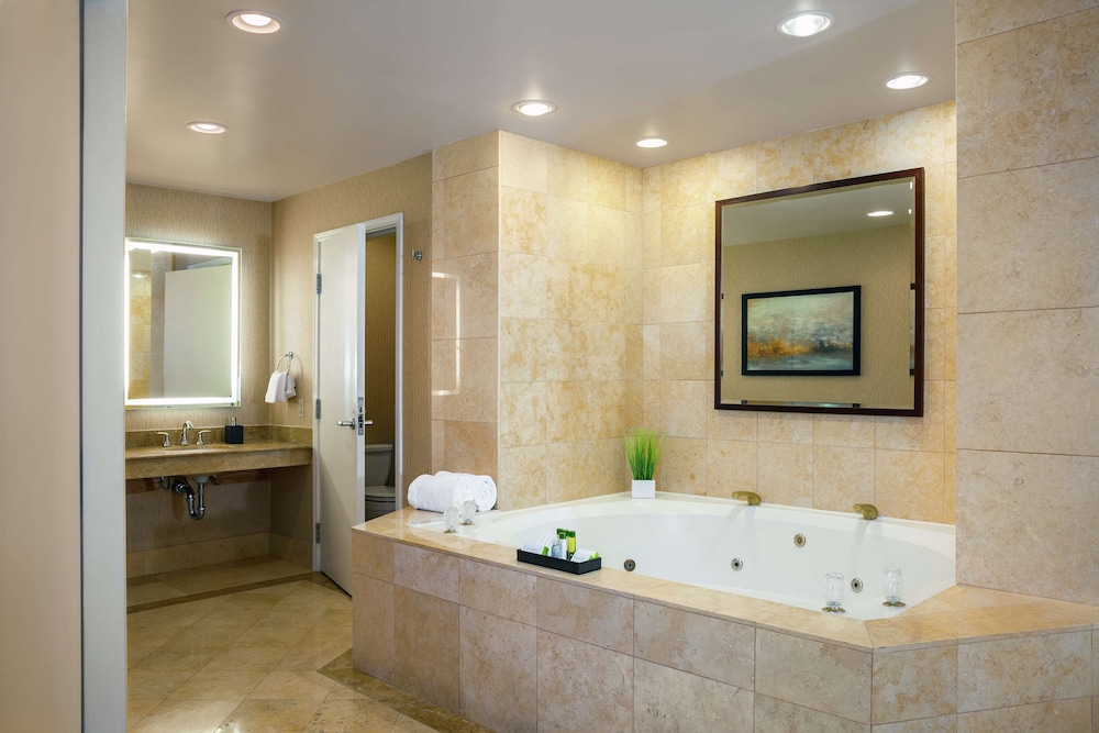 Presidential Suite, 1 King Bed photo 1