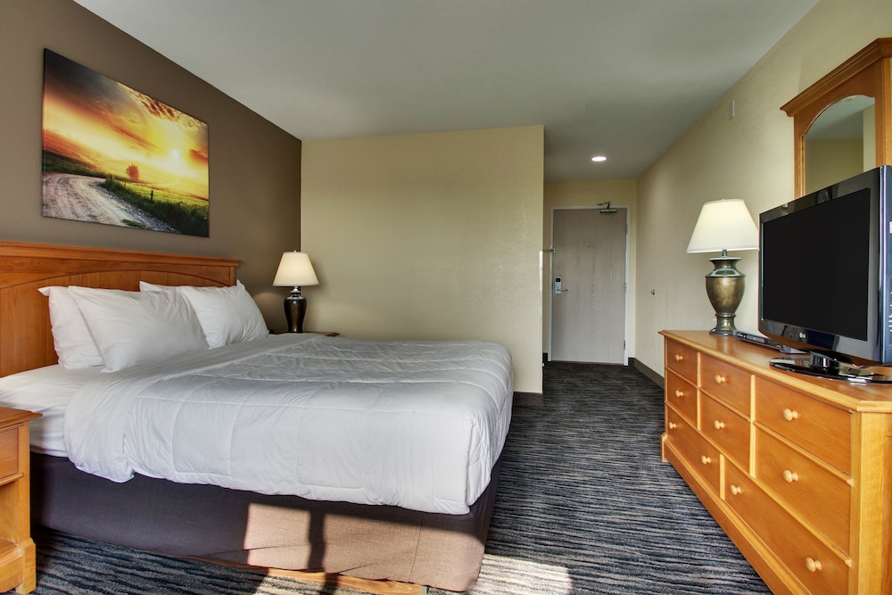 Standard Room, 1 Queen Bed photo 3