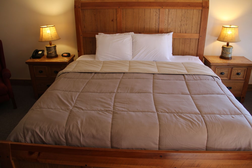 Room, 1 King Bed photo 3