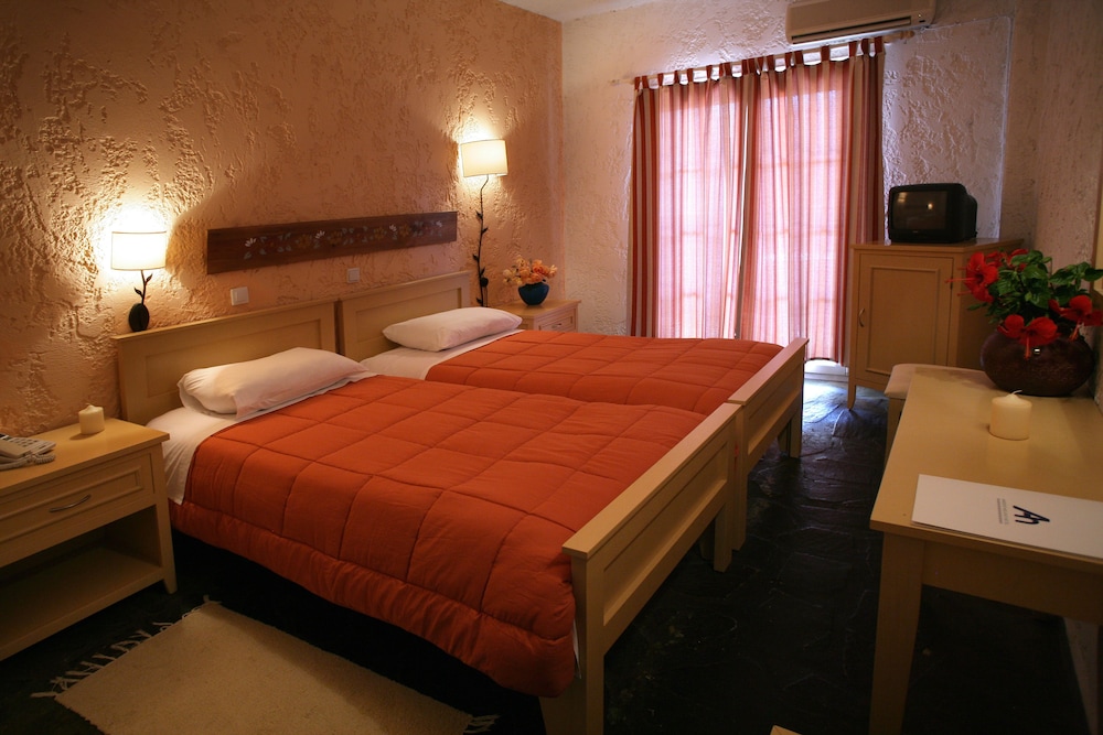 Double or Twin Room, Mountain View photo 3