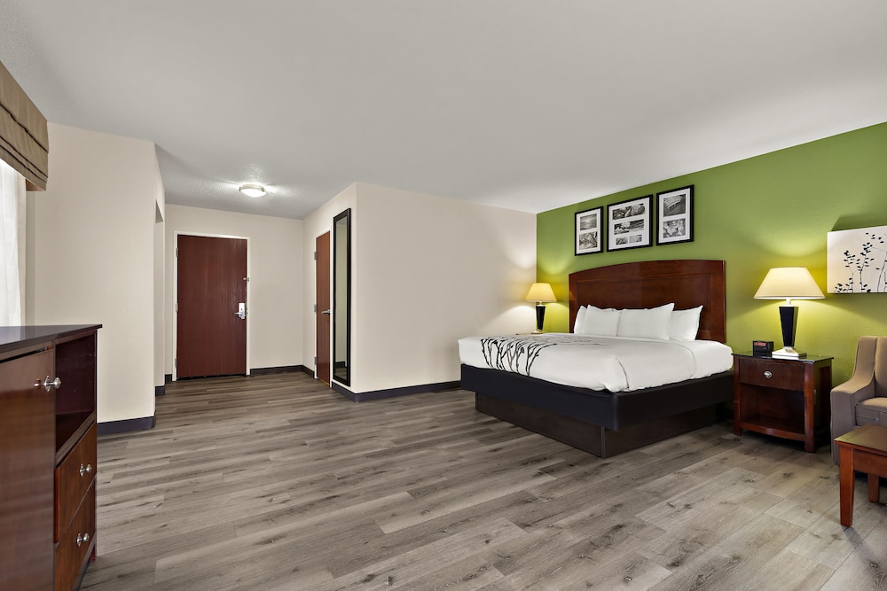 Suite, 1 King Bed with Sofa bed, Non Smoking photo 3