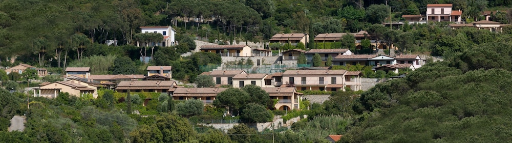 Classic Apartment, 1 Bedroom, Pool Access, Garden View photo 3
