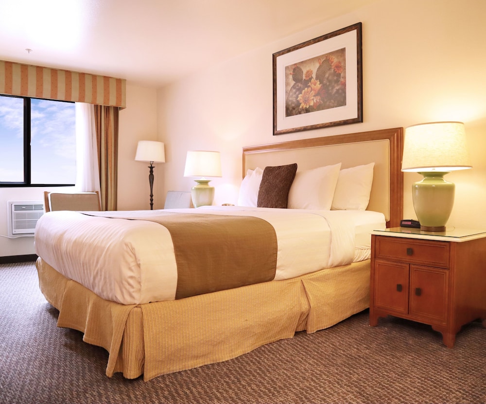 Standard Room, 1 King Bed photo 3
