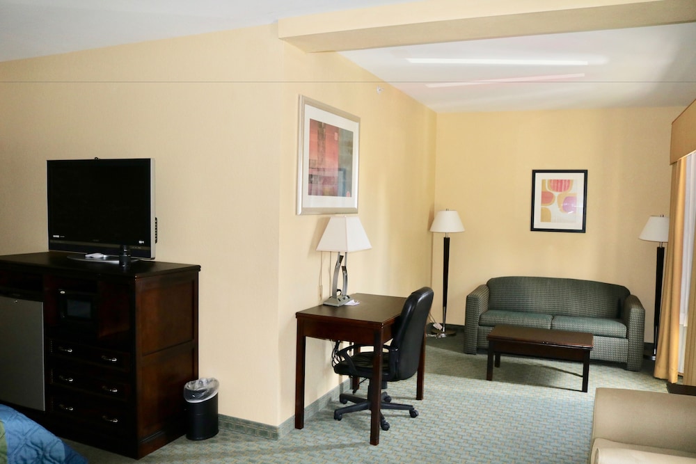 Suite, 1 King Bed with Sofabed, Non-Smoking photo 1