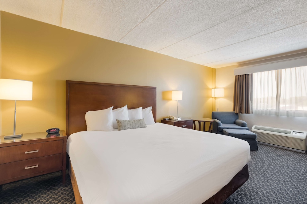 Standard Room, 1 King Bed, Refrigerator & Microwave, City View