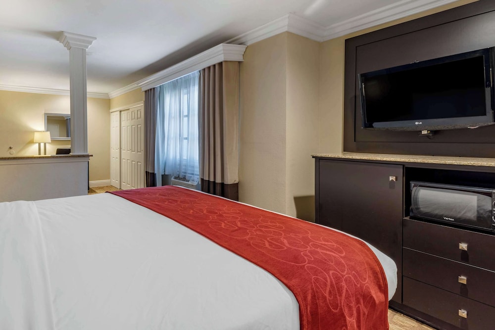 Suite, 1 King Bed with Sofabed, Accessible Roll-In Shower, Non Smoking - Photo 5