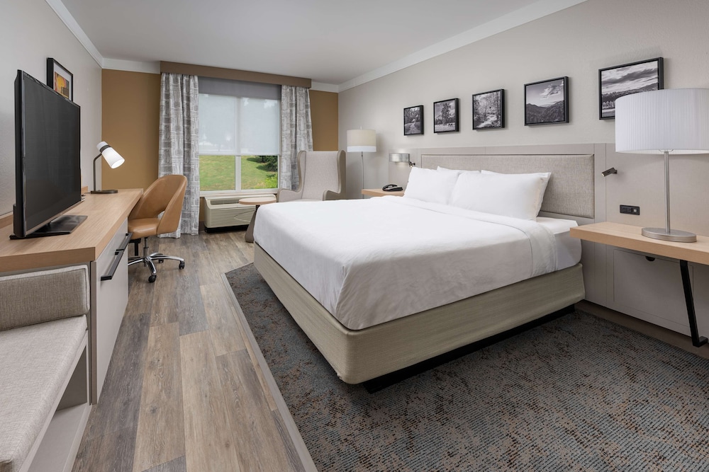 Room, 1 King Bed, Accessible - Photo 3