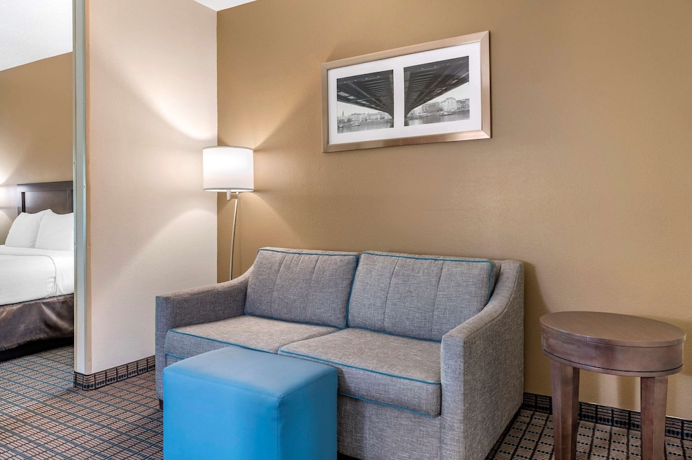 Suite, 1 King Bed with Sofa bed, Non Smoking - Photo 1