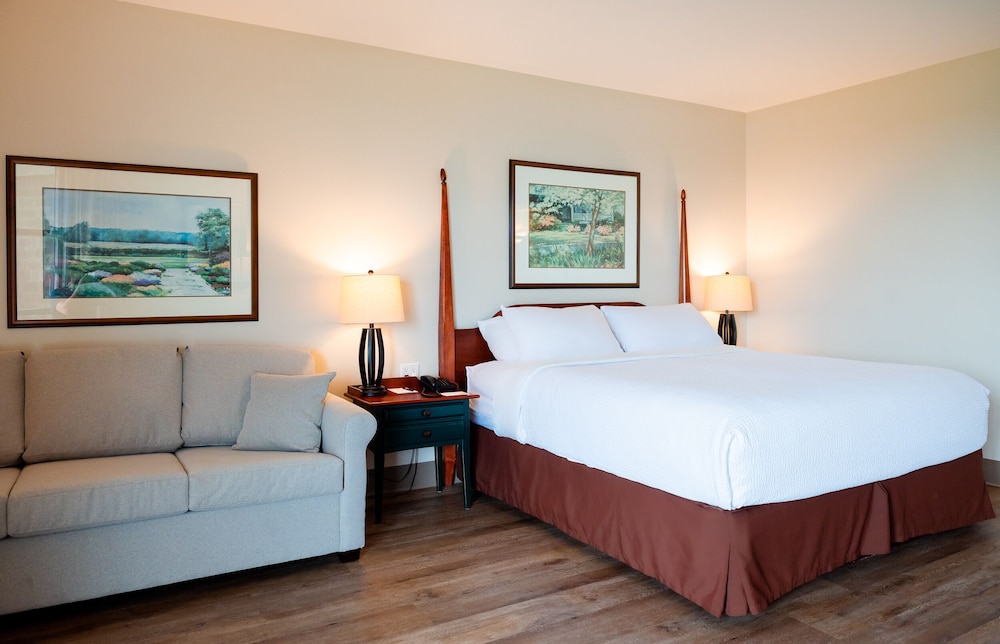 Standard Single Room, 1 King Bed with Sofa bed photo 1