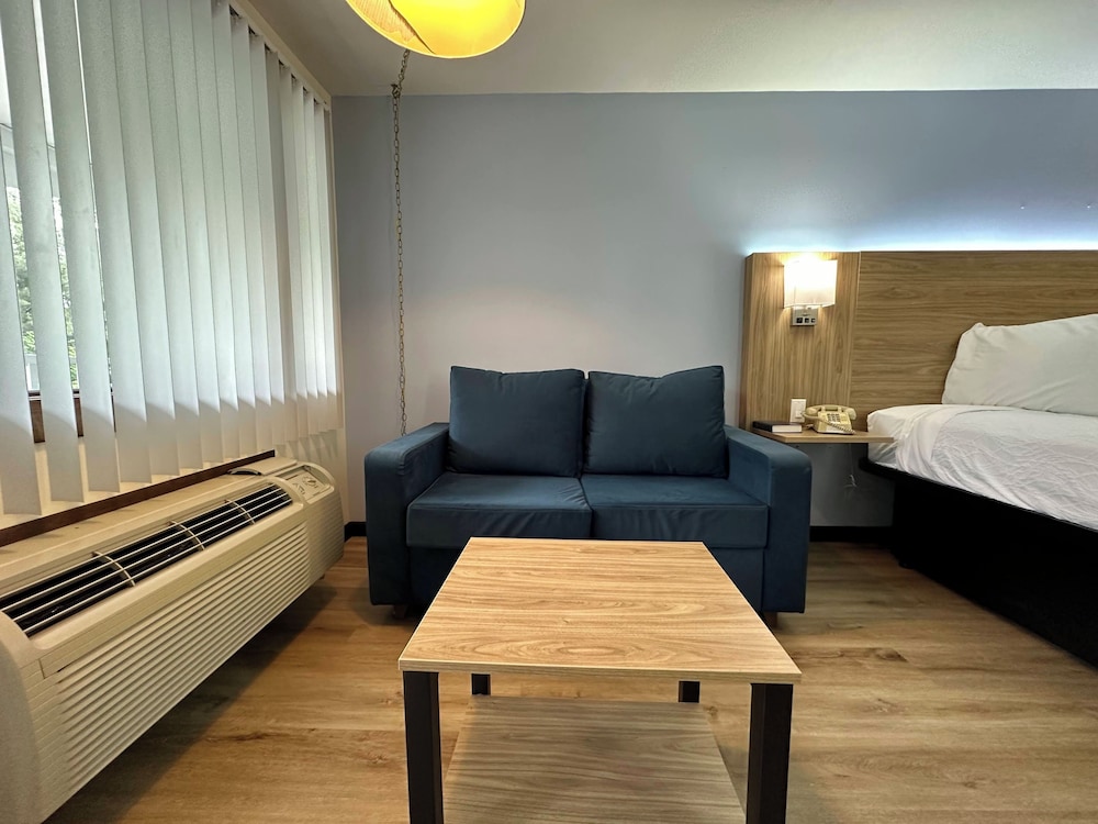 King Room photo 1