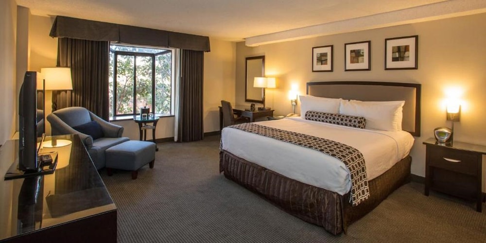 Standard Room, 1 King Bed, Non Smoking photo 1