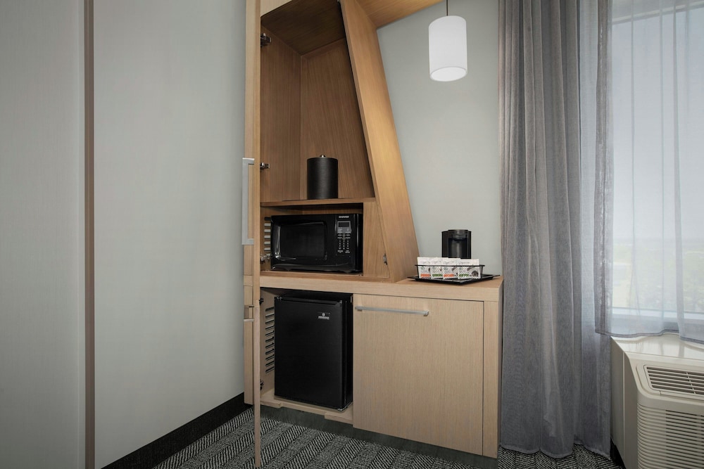 Room, 1 King Bed with Sofa bed (Mobility Accessible, Roll-In Shower) photo 3