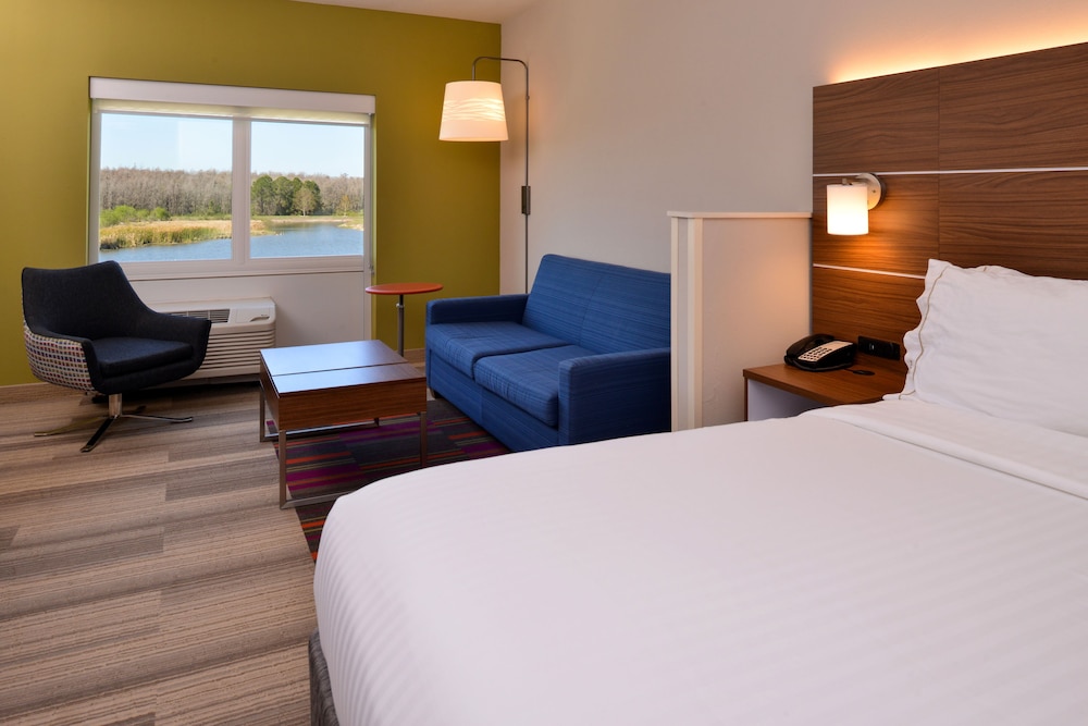 Suite, 1 King Bed photo 3