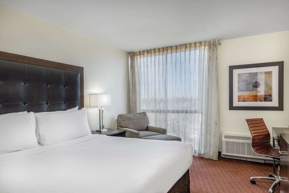 Room, 1 King Bed, Non Smoking photo 2