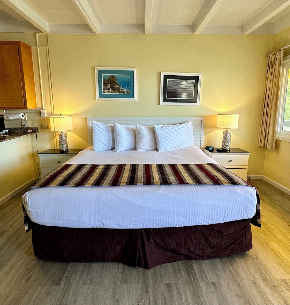 Suite, 1 King Bed photo 3