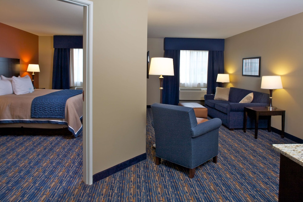 Deluxe Suite, 1 King Bed photo 1