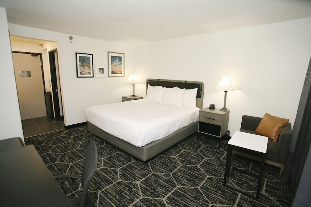Room, 1 King Bed, Non Smoking (Pet-Friendly) photo 1