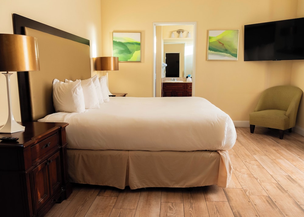 Room, 1 King Bed, Non Smoking, City View photo 1