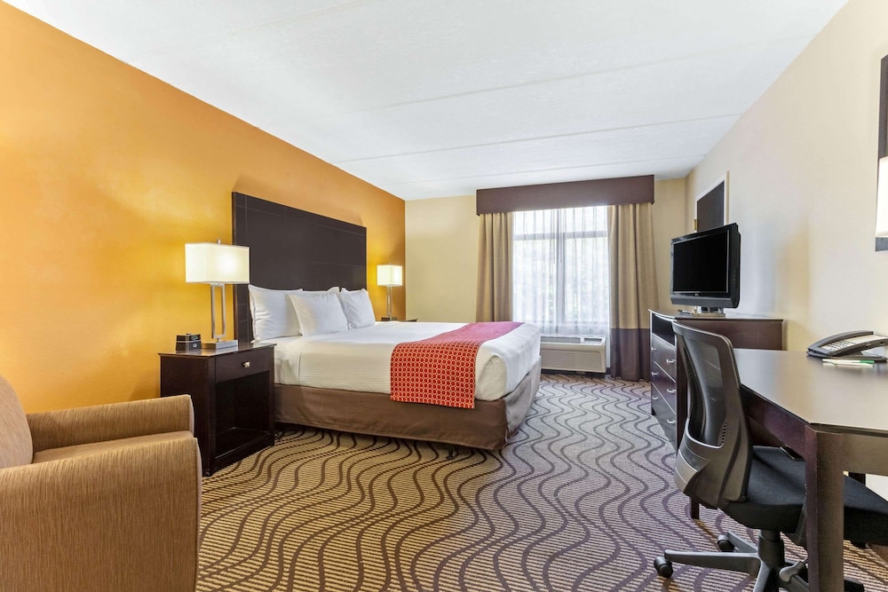 Room, 1 King Bed, Accessible, Non Smoking (Mobility Accessible) - Photo 1