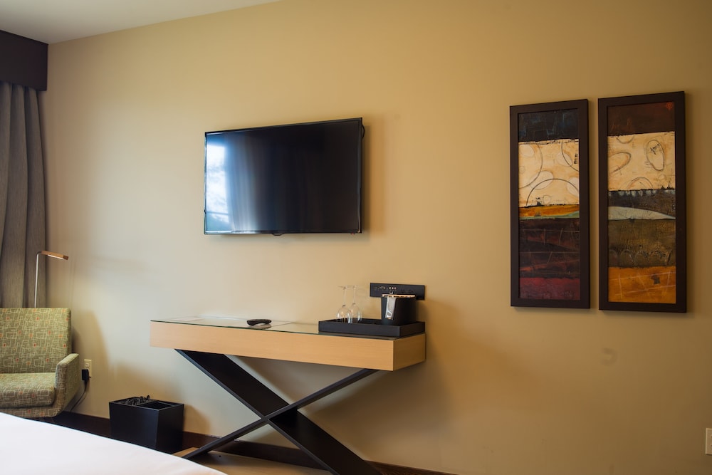 Standard Room, 1 King Bed, Resort View (Call for dog-friendly options) photo 3
