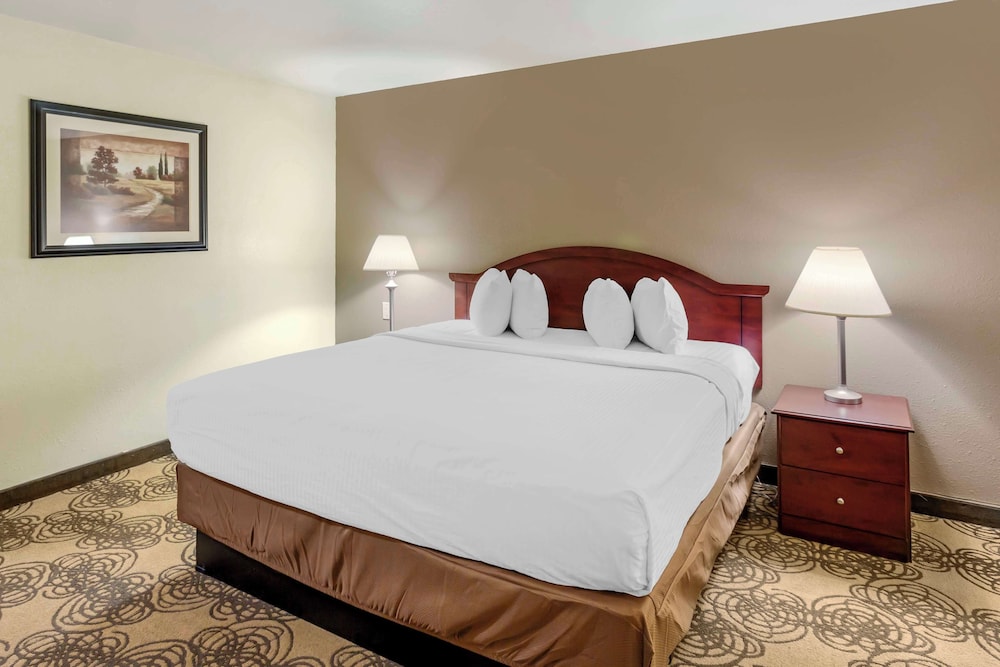 Standard Room, 1 King Bed, Non Smoking, Refrigerator & Microwave (Larger Room) - Photo 3