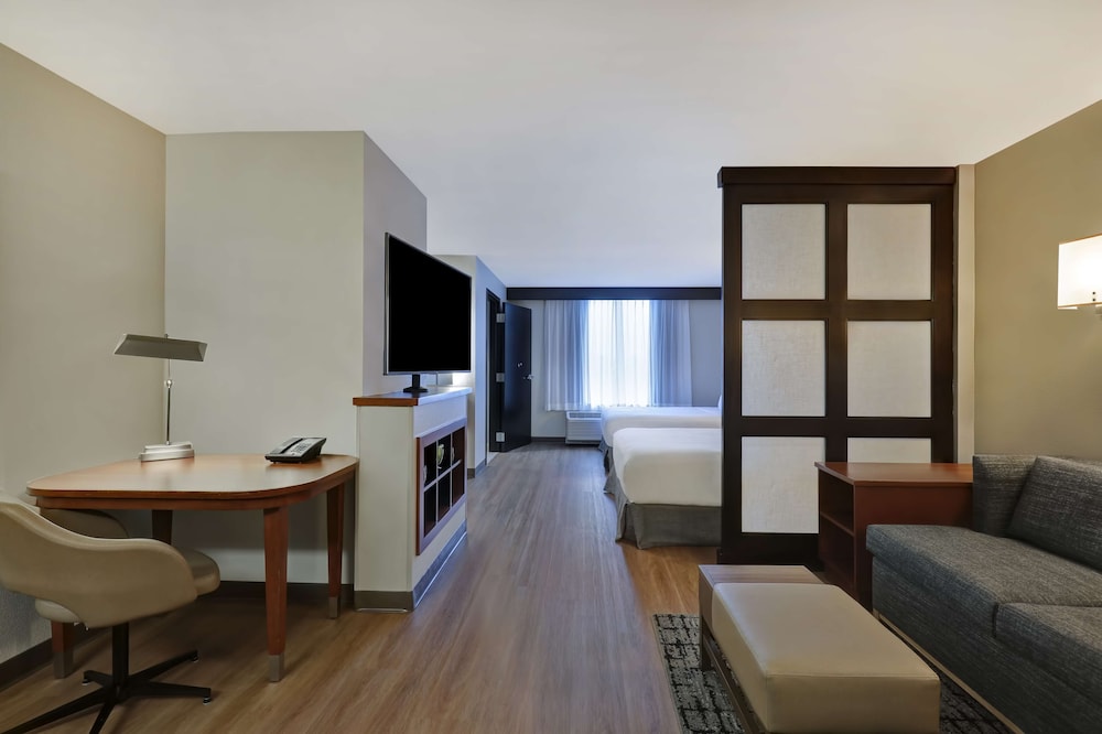 King Room with Sofa Bed and Accessible Tub - Disability Access