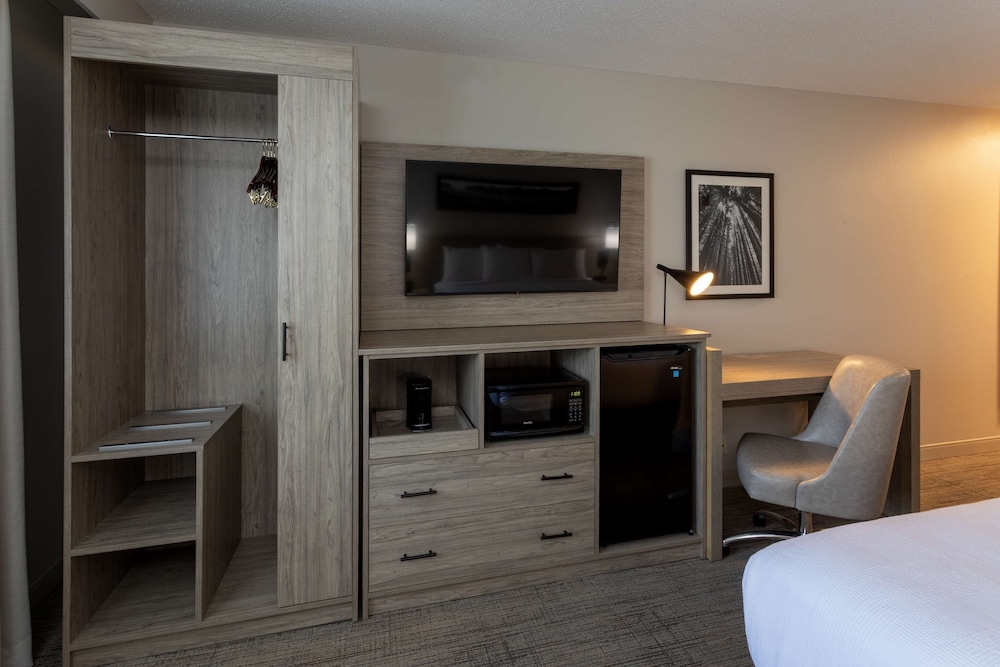 Room, 1 King Bed (Whirlpool) photo 2