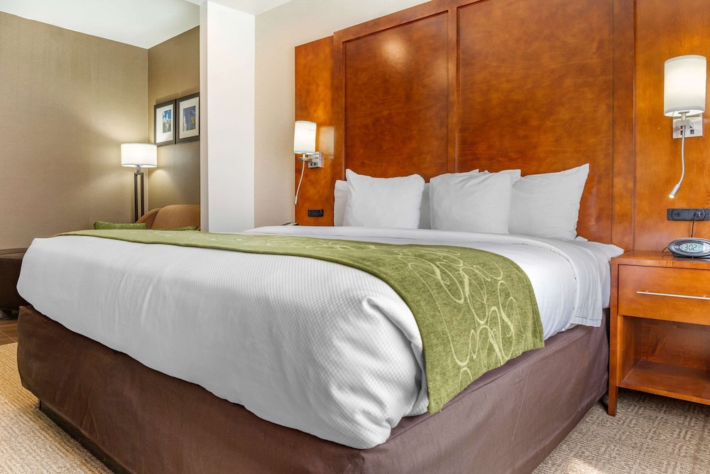 Suite, 1 King Bed with Sofa bed, Accessible, Non Smoking - Photo 6