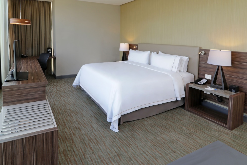 Suite, 1 King Bed with Sofa bed thumbnail 5