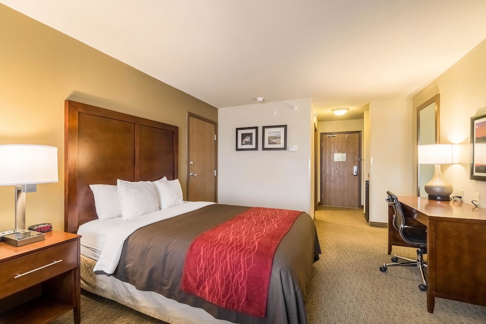 Standard Room, 1 King Bed, Non Smoking - Photo 1