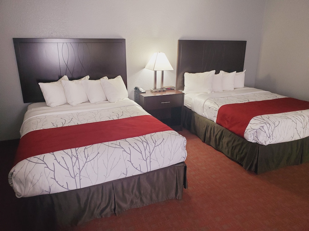 Executive Suite, 2 Queen Beds photo 1
