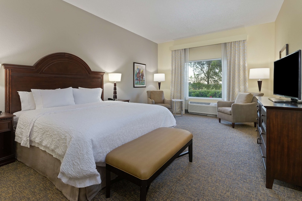 Suite, 1 King Bed, Accessible (Roll-in Shower) - Photo 2