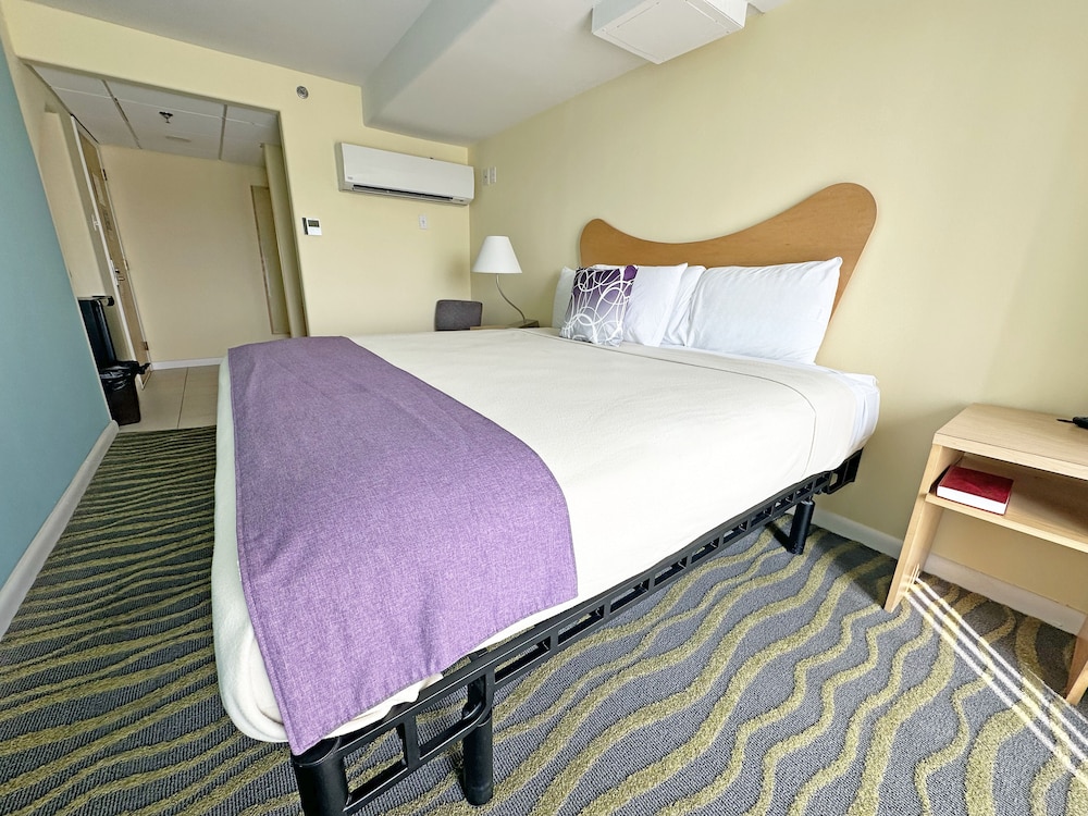 Standard Room, 1 King Bed photo 2