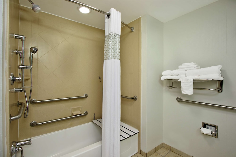 Room, 1 King Bed, Accessible - Photo 4