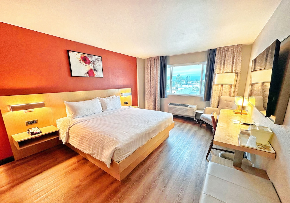 Single Room, Non Smoking - Photo 2