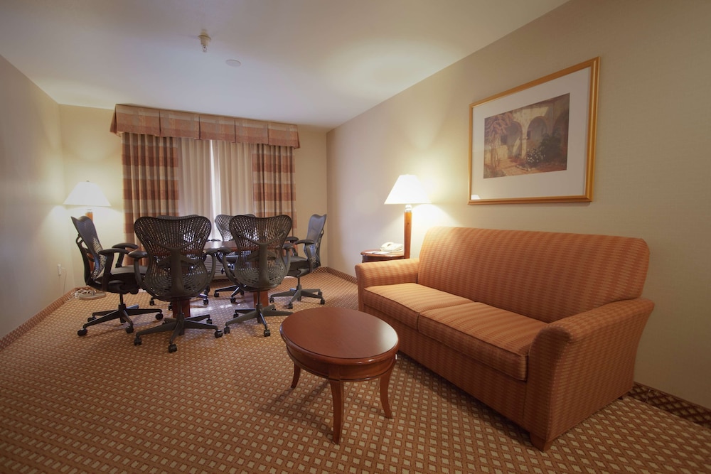 Suite, One King Bed