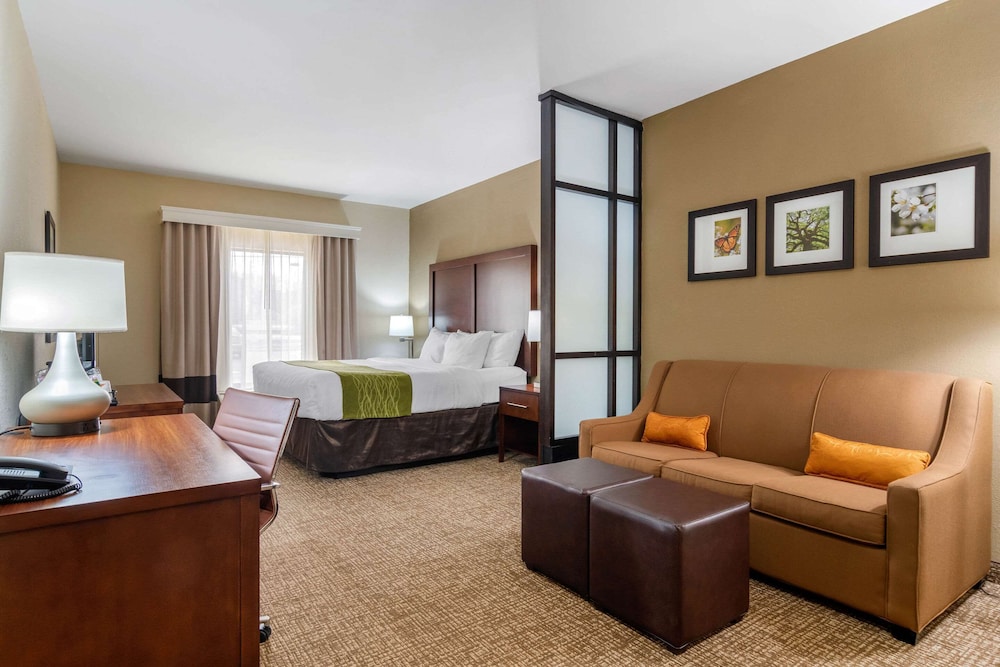 Suite, 1 King Bed with Sofa bed, Non Smoking - Photo 1