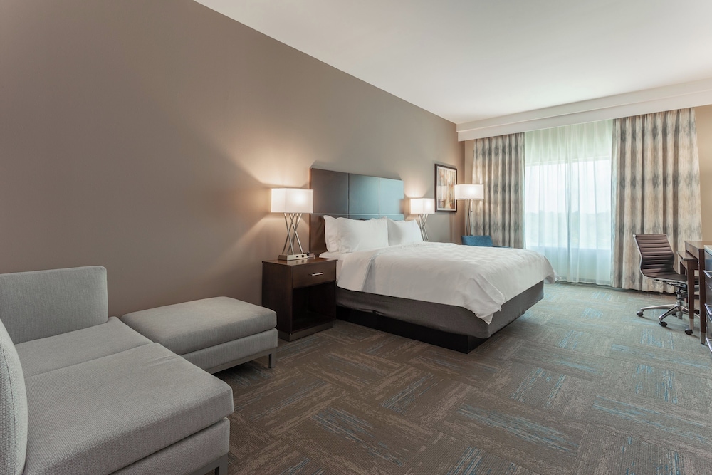 Suite, 1 King Bed photo 1