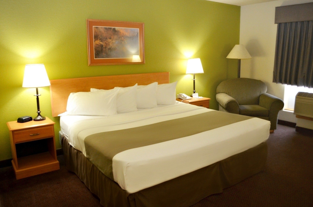 Standard Room, 1 King Bed, Non Smoking photo 1