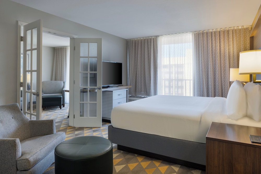 Suite, 1 King Bed with Sofa bed
