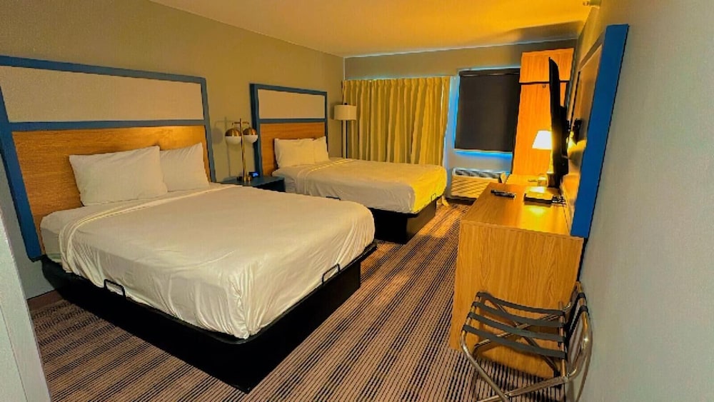 Room, 1 King Bed photo 1