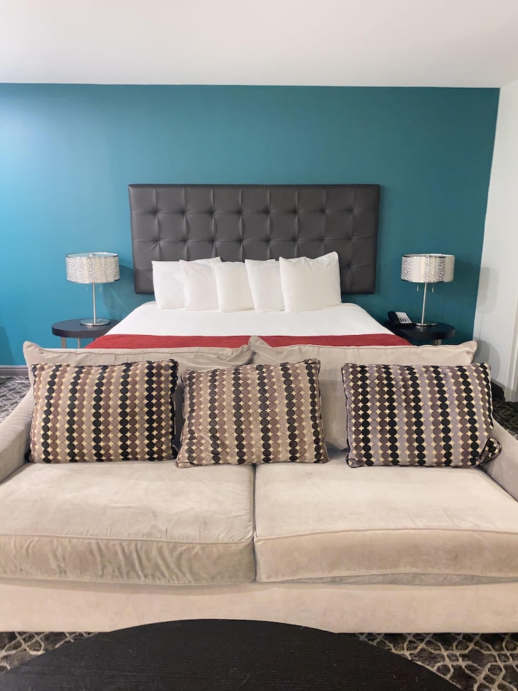 Suite photo 3