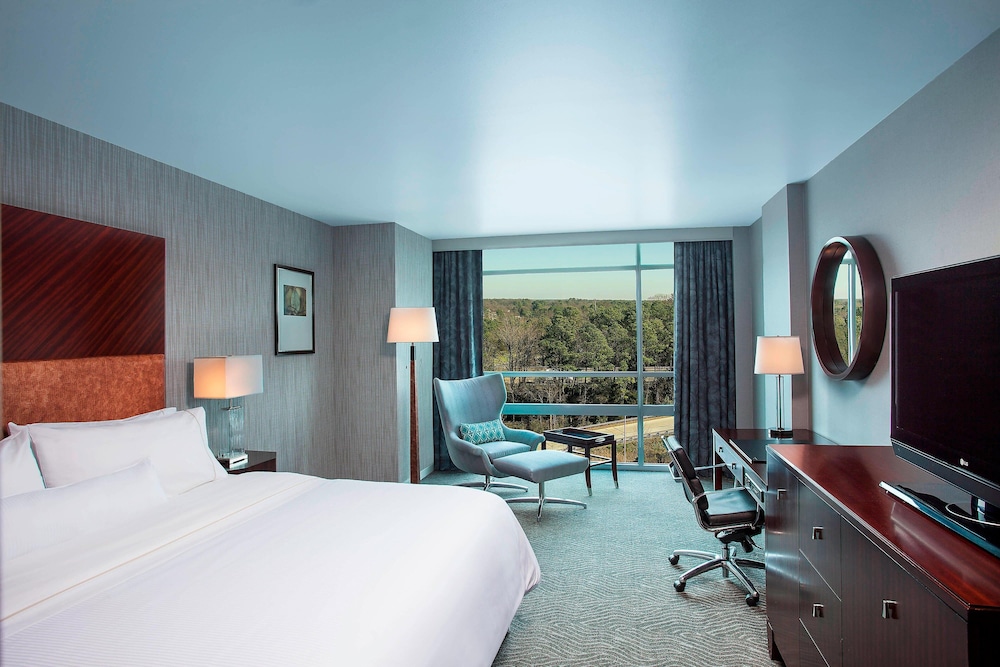 Traditional Room, 1 King Bed (Mobility Accessible, Roll-In Shower) - Photo 1