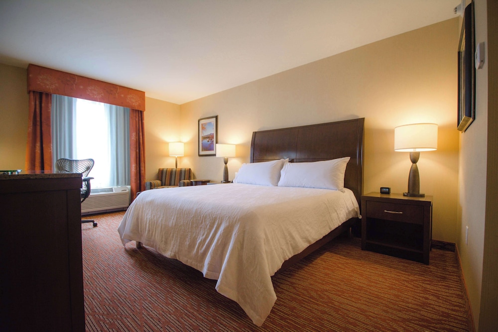Room, 1 King Bed (Drinks & Snacks) photo 2