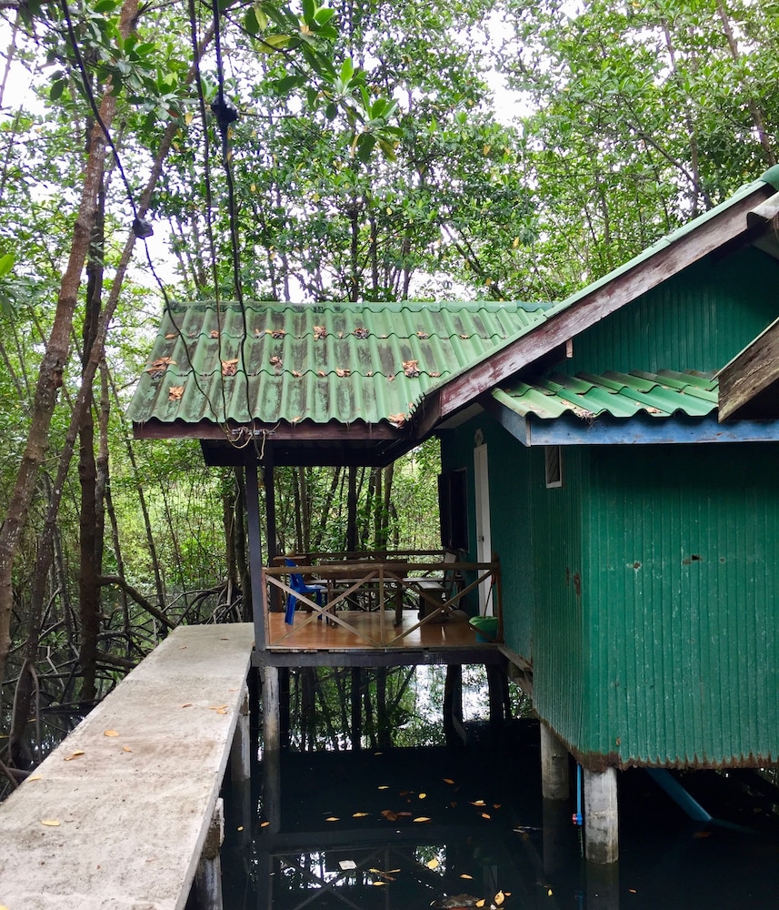 Mangrove Hut (NON AC, FAN ONLY) photo 3