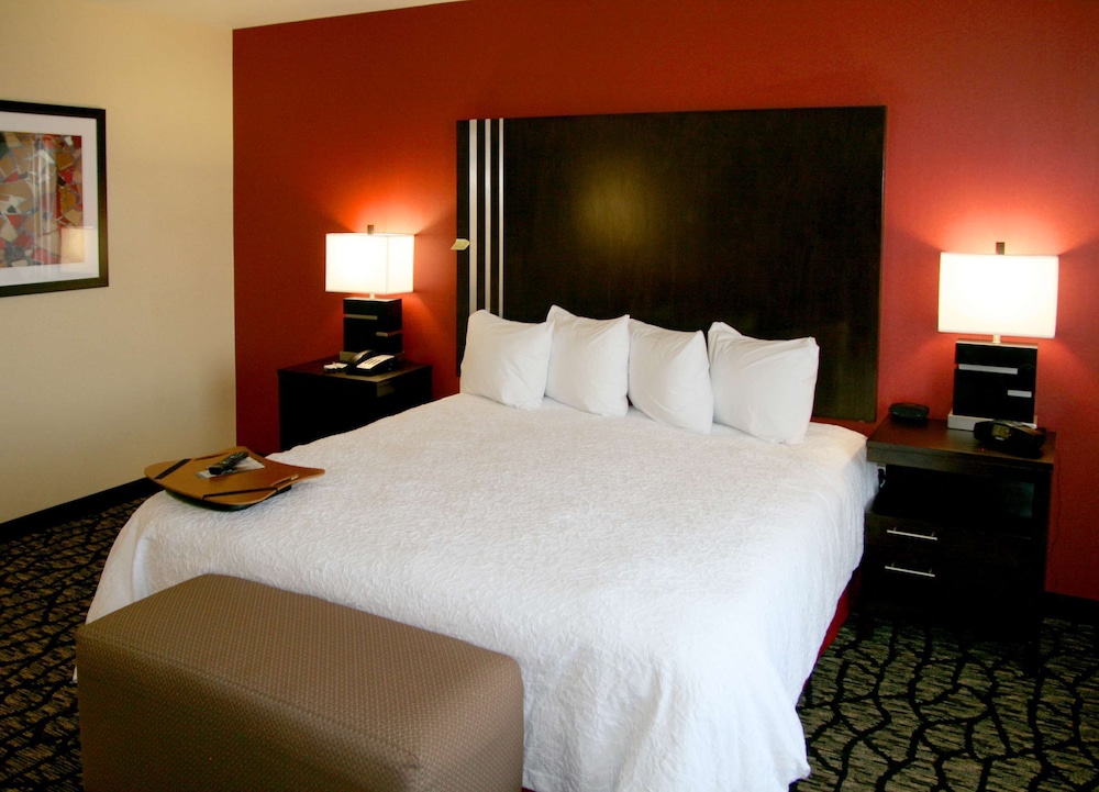 Basic Room, 1 King Bed, Accessible (Roll-In Shower) - Photo 5