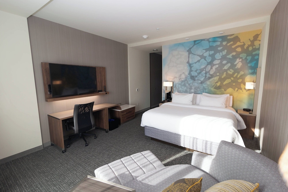 Room, 1 King Bed with Sofa bed (Mobility/Hearing Access, Roll-In Shwr) - Photo 4