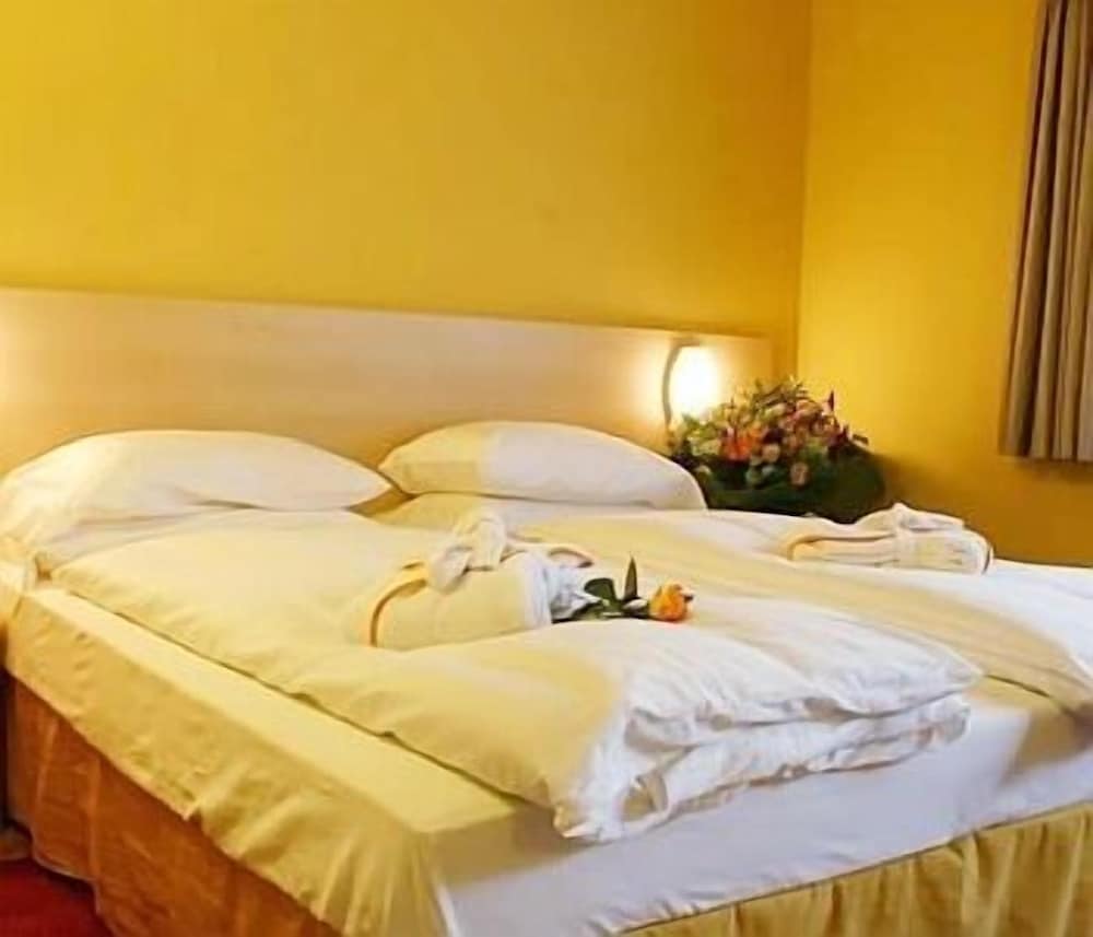 Single Room photo 1