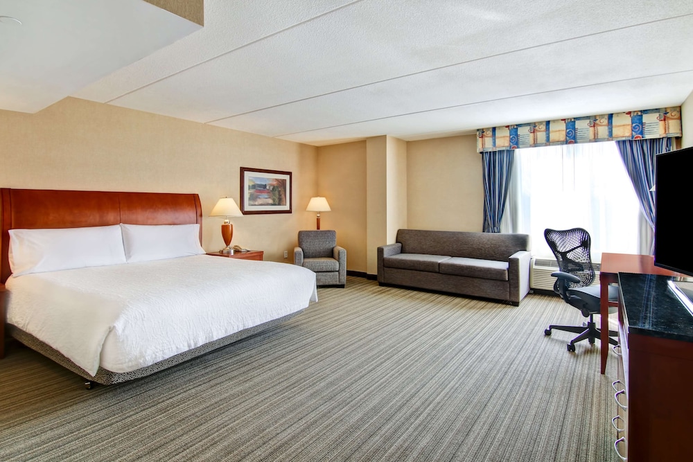 Room, 1 King Bed, Accessible - Photo 3