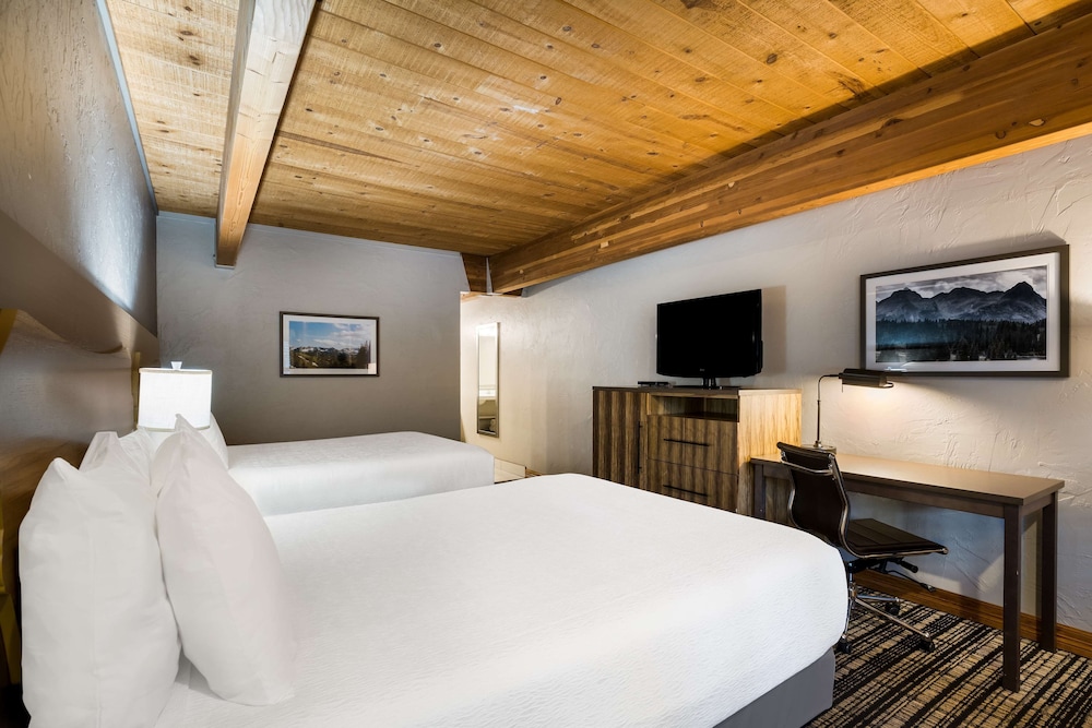 Suite, Multiple Beds, Non Smoking photo 1
